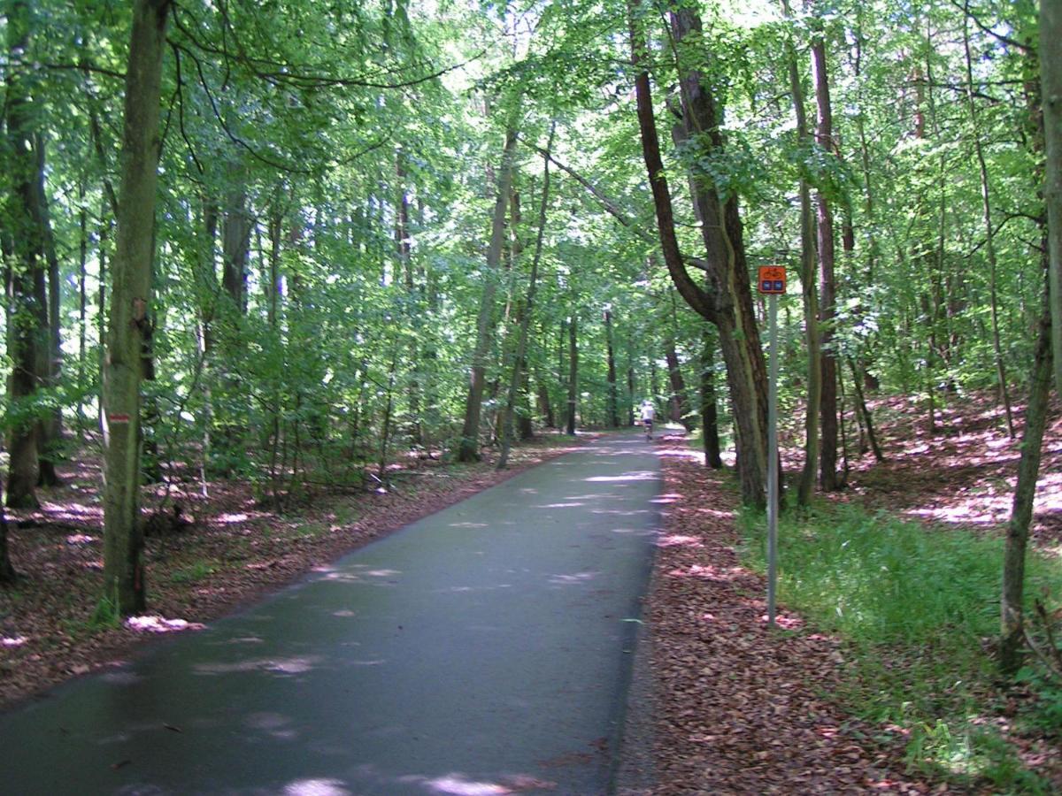 Wantaris - Domki Letniskowe Z Ogrodkiem Mielno-Mielenko Großmöllen Exterior foto